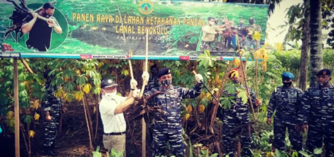 Lanal dan Pemkot Panen Raya Ubi Kayu Guna Atasi Ketahanan Pangan Di Tengah Pandemi Covid-19