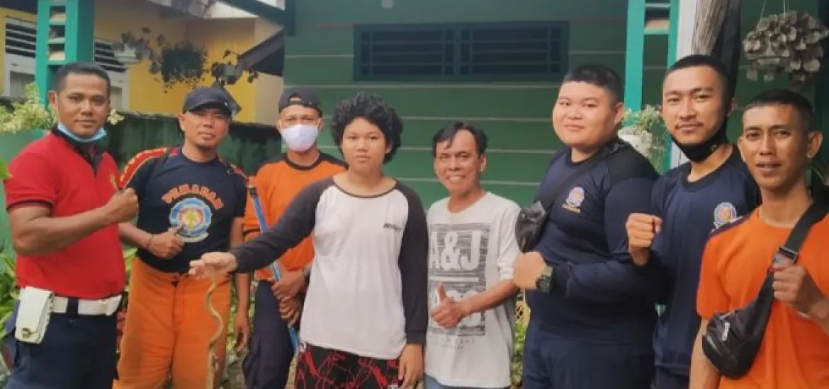 Damkar Evakuasi Ular Cobra dari Rumah Warga