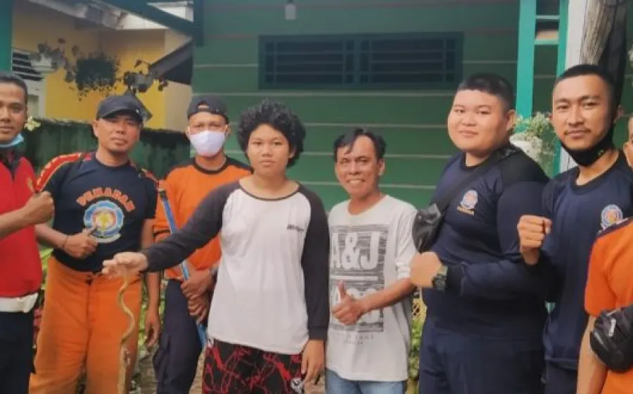 Damkar Evakuasi Ular Cobra dari Rumah Warga