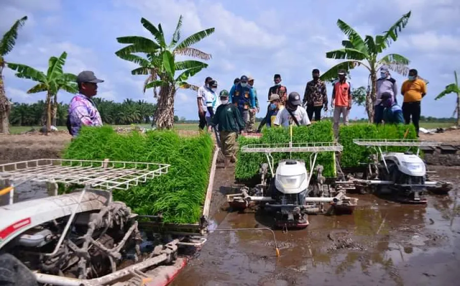 Pemerintah Kota Pekanbaru Kenalkan Padi Jenis Baru ke Para Petani Bunga Raya Siak